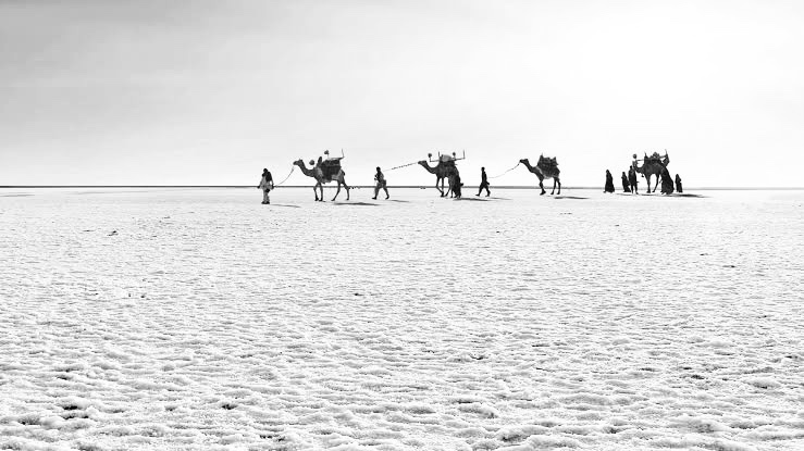 The Great White&nbsp;Desert